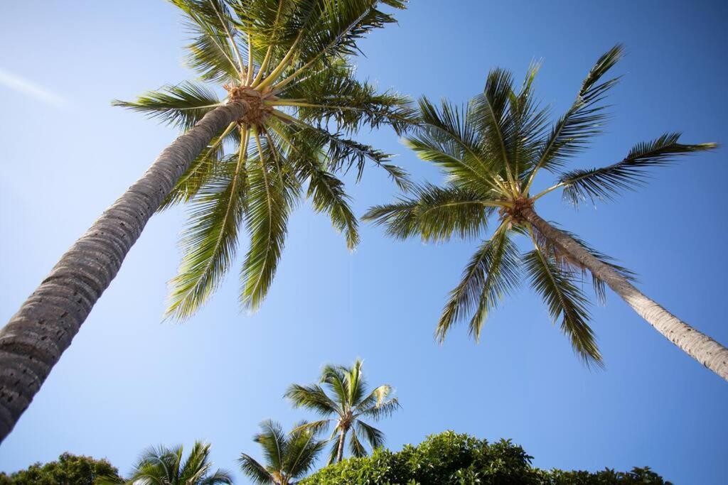 Airlie Sun & Sand Motel Accommodation #4 Airlie Beach Eksteriør billede